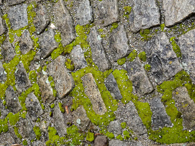 Before — Driveway — concrete oxidation removal