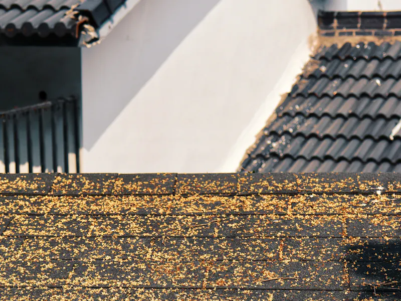 Before — Eavestroughs — full clean