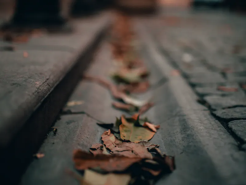 Gutter Cleaning in Oakville and the GTA